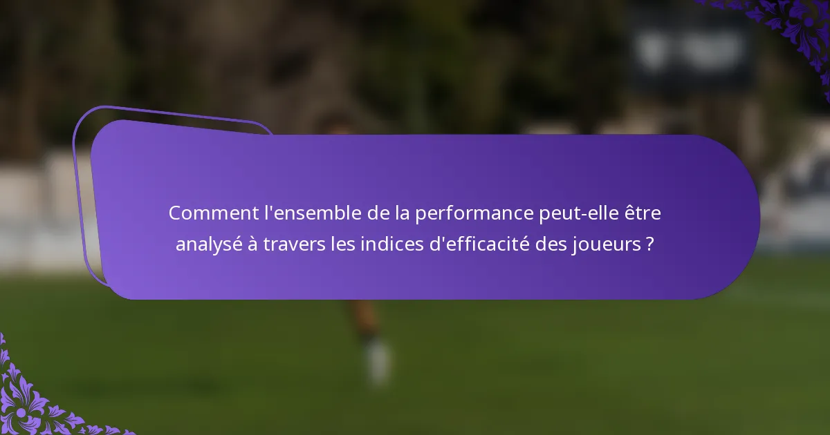 Comment l'ensemble de la performance peut-elle être analysé à travers les indices d'efficacité des joueurs ?